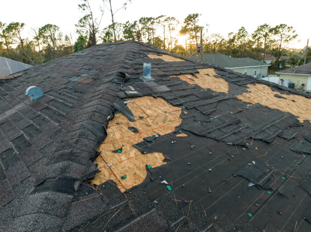 Best Gutter Installation and Repair  in Cherokee, NC